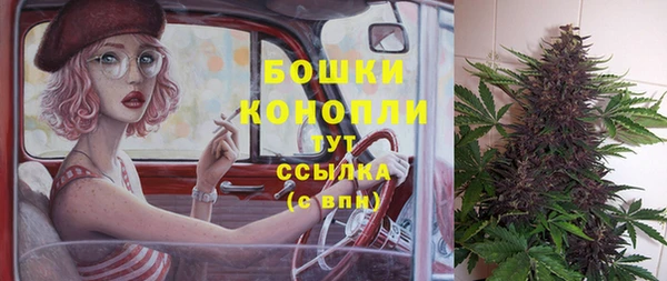сатива Арсеньев