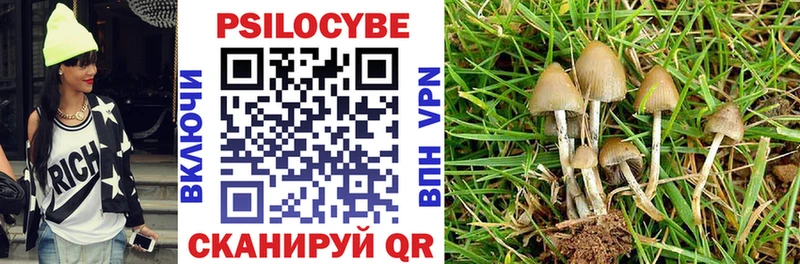 Псилоцибиновые грибы Cubensis  Купить закладки  Удомля 
